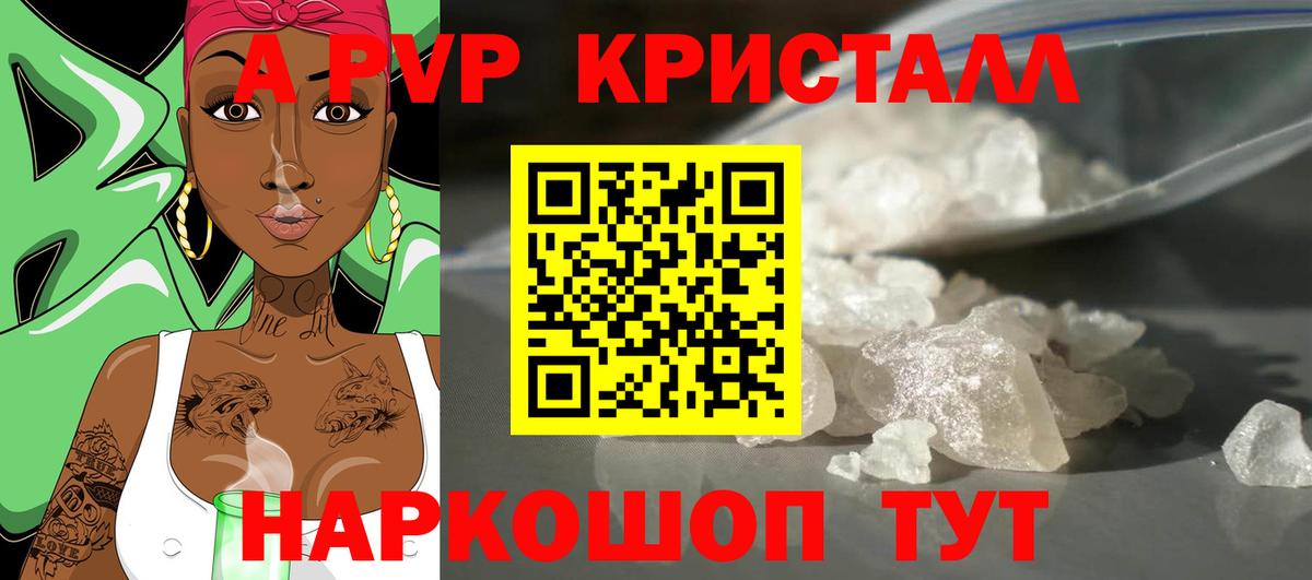 Альфа ПВП СК КРИС Кизилюрт