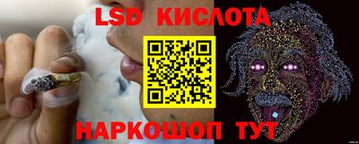 СК Беслан