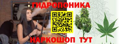 кокс Бийск