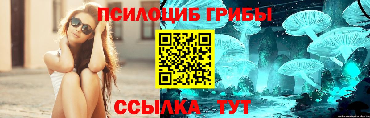 Галлюциногенные грибы ЛСД  Вход с VPN  Кизилюрт 