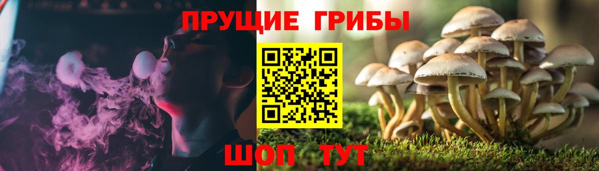 Мефедрон Кизилюрт
